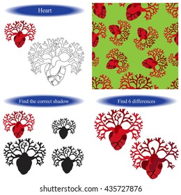Anatomic human heart. Coloring book, find differences for children. Heart background. Vector illustration.