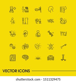 Anatomic icons set with human head, pill and cheat meal elements. Set of anatomic icons and bronchi concept. Editable vector elements for logo app UI design