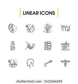 Anatomic icons set with immune system, surgery tools and muscles elements. Set of anatomic icons and fruit concept. Editable vector elements for logo app UI design.