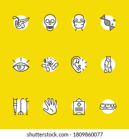 Anatomic icons set with medical license, crutches and thymus elements. Set of anatomic icons and medical mask concept. Editable vector elements for logo app UI design.