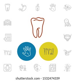 Anatomic icons set with vitamins, bladder and medical record elements. Set of anatomic icons and gastric concept. Editable vector elements for logo app UI design.
