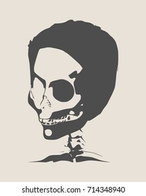 Anatomic Skull. Detailed illustration of human skull.