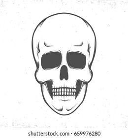  Anatomic skull, monochrome illustration on white background.Isolated.Grunge texture.Vector art.