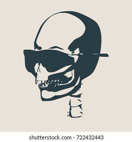 Anatomic skull in sunglasses. Detailed illustration of human skull.
