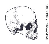Anatomic Skull Vector Art. Detailed hand-drawn illustration of skull without lower jaw. Grunge weathered illustration. Black and white.