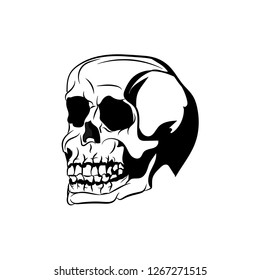 Anatomic Skull Vector Art. Detailed hand-drawn illustration of skull. Grunge weathered illustration. - Vector 