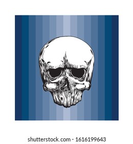 Anatomic Skull Vector Art. Detailed hand-drawn illustration of skull with open mouth. Vector art. tattoo design. with color pattern background.