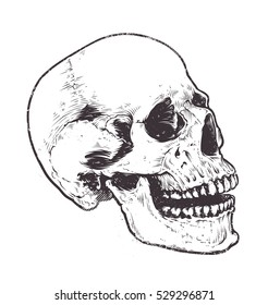 Anatomic Skull Vector Art. Detailed hand-drawn illustration of skull with open mouth. Grunge weathered illustration.
