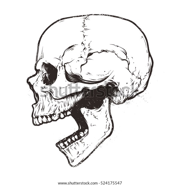 無原子の頭蓋骨ベクター画像 口を開いた頭蓋骨の詳細な手描きのイラスト グランジ風化イラスト のベクター画像素材 ロイヤリティフリー