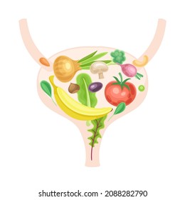 Anatomical bladder with fruit and vegerables. Healthy human internal organ vector illustration