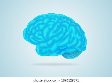 Anatomical blue brain. Large gyrus encircle entire circumference complex structure of intelligence cerebral organ that controls vector body.