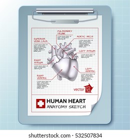 Anatomical clipboard template with notepad and sketch heart anatomy on blue background isolated vector illustration