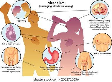 Examen anatómico de los efectos positivos y negativos del alcohol sobre la enfermedad biológica del organismo humano y las enzimas hepáticas