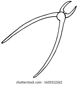 Anatomical forceps for tooth extraction, dental instrument, medical supplies. Drawing black pen on a white isolated background. For advertising dental services, price list design, brochures.