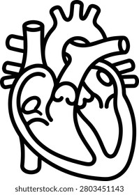 Anatomical heart cross section icon, human internal organ structure outline, medical cardiology valve education, isolated linear graphic illustration