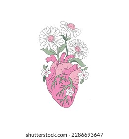 Anatomical heart with daisy flowers. Blooming anatomy. Groovy Hippie Valentines Day graphics. Vector illustration isolated on white.