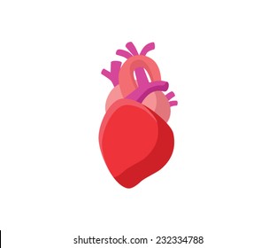 Anatomical Heart - Flat Graphic