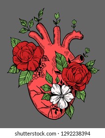 Anatomical Heart Flowers Engraving Style Hand Stock Vector (Royalty ...