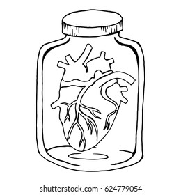 Anatomical Heart In A Glass Jar. Vector Illustration Of A Bank With A Human Heart. Hand Drawn Anatomical Heart In The Jar.