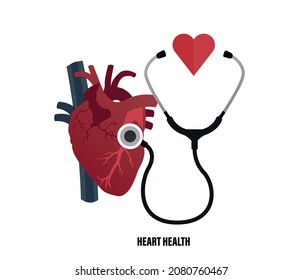 Anatomical Heart Health Isolated. stethoscope and heart icon.three editable vector.
