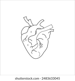 ANATOMICAL HEART ICON VECTOR ILLUSTRATION SYMBOL DESIGN