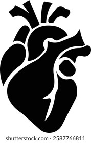 Anatomical heart icon.Human anatomy internal organ set with brain lung intestine heart kidney liver and stomatch.Healthy Cardiovascular Organ Symbol Collection on White Background and red.