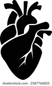 Anatomical heart icon.Human anatomy internal organ set with brain lung intestine heart kidney liver and stomatch.Healthy Cardiovascular Organ Symbol Collection on White Background and red.