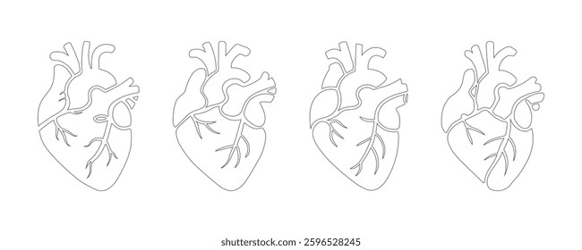 Anatomical Heart Line Art Vector Icon Set – Human Heart Sketch Outline Clipart with Veins for Cardiology, Medical, Health, and Biology. Editable Stroke