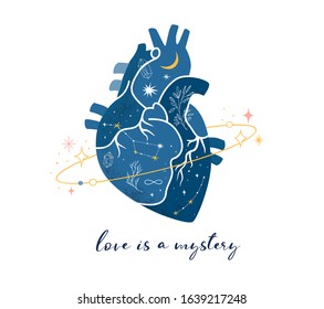 Anatomical Heart Modern Print Design, Art Work, Vector Design And Illustration