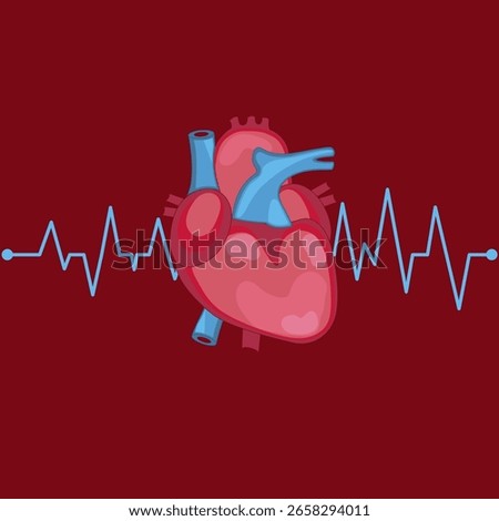 Anatomical heart pulsating in one line, heart rate line, vector illustration, flat design