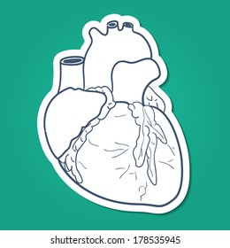 Anatomical heart. Sketch sticker vector element for medical or health care design