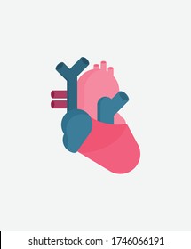 Anatomical Heart. Vector flat illustrations