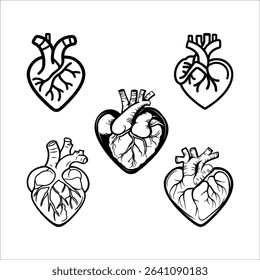 Anatomical heart vector illustration set black and white medical diagram heart artwork graphic design element