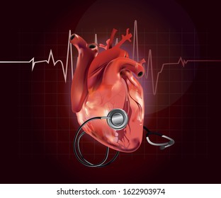 Anatomical heart in vector with phonendoscope. EPS10.