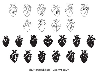 Anatomical heart vector silhouette icon set. heartbeat, cardiovascular, anatomy, medical, health, cardiology illustration, biology, organ, human heart collection, vector eps file