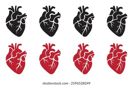 Anatomical Heart Vector Silhouette Set – Black and Red Human Heart Icons with Veins for Cardiology, Medical Health, Biology, and Educational Materials