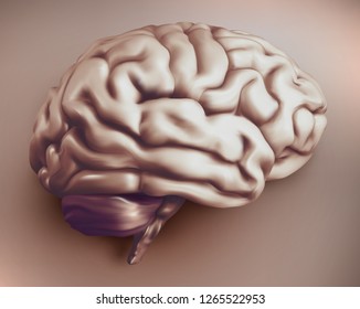 anatomical human brain, mesh vector, scientific article design and medical booklet