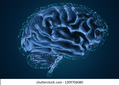 anatomical human brain, mesh vector, scientific article design and medical booklet