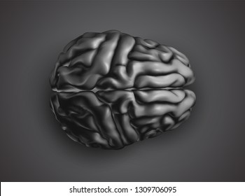 anatomical human brain, mesh vector, scientific article design and medical booklet