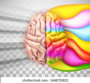 anatomical human brain, mesh vector, scientific article design and medical booklet