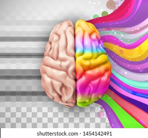 anatomical human brain, mesh vector, scientific article design and medical booklet