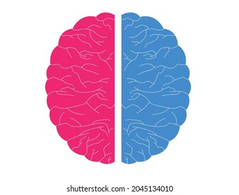 Anatomical human brain. Psychological analysis and psychotherapy concept. Mental health and psychology concept. Vector design EPS 10.