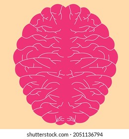 Anatomical human brain.world mental health day. Psychological analysis and psychotherapy concept. Mental health and psychology concept. Vector design EPS 10.