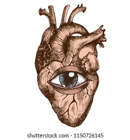 Anatomical human heart with eye. Hand-drawn vector illustration for your unusual surreal design.