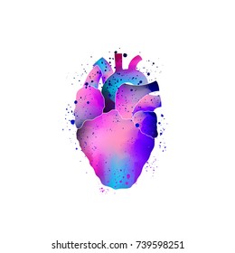 Anatomical human heart isolated. Vector illustration. Multicolored object with splashes, paint effect.