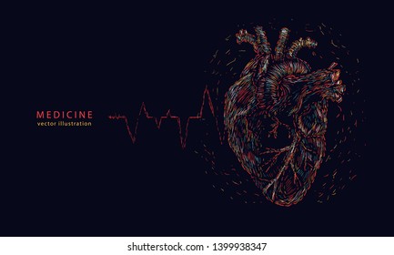 Anatomical Human Heart And Pulse Line. Medicine Background