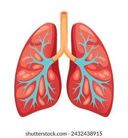 Anatomical Human Lungs Illustration on White