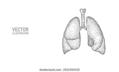 Anatomische menschliche Lungen Linie Kunst Silhouette. Gesunde Medizin gegen das Rauchen Konzept Design Welt kein Tabak Tag Tuberkulose Zeichnung Vektorgrafik