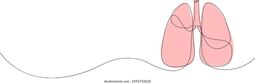 Anatomical human lungs organ continuous one line drawing. Vector illustration.