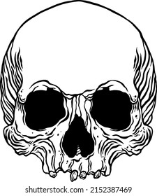 Anatomical Human Skull. Vector hand drawn illustration
